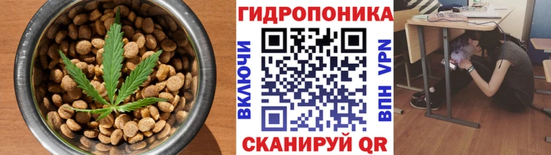 Canna-Cookies марихуана Краснокамск
