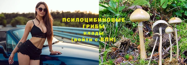 PSILOCYBIN Долгопрудный