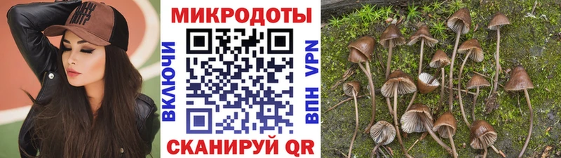 Галлюциногенные грибы MAGIC MUSHROOMS  блэк спрут рабочий сайт  Краснокамск 