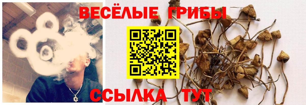 Галлюциногенные грибы мицелий Краснокамск