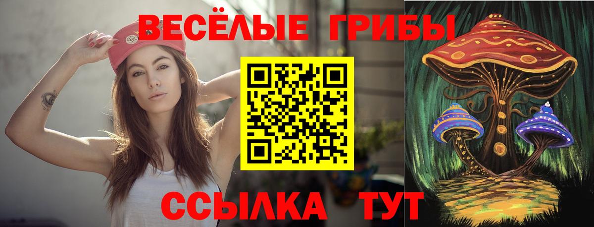 Галлюциногенные грибы Cubensis  Краснокамск 